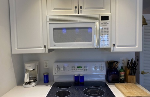 Huddleston Condo | ML, 1Bedroom,1 bath, Lakefront, best views around! PET Fee -ask about ESA policy