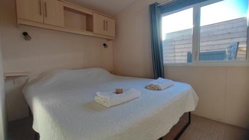 Vauvert Apartment | Mobil en Camargue Climatisé, chemin de compostelle