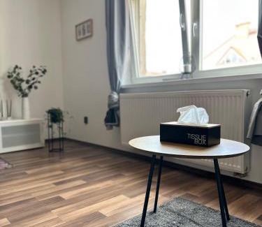 Hradec Kralove Apartment | Moderní byt v centru Hradce Králové