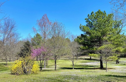 Plainview Cabin | Modern 2 bed cabin 2 miles from Lake Nimrod and within 30 mins of 4 state parks