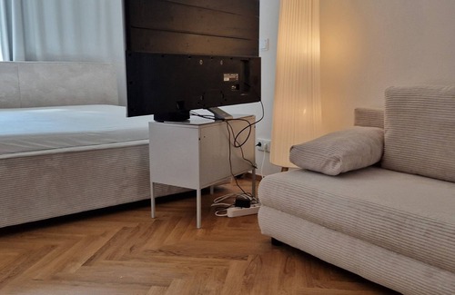 Waldshut-Tiengen House | Modern apartment Smart Tv and parking lot