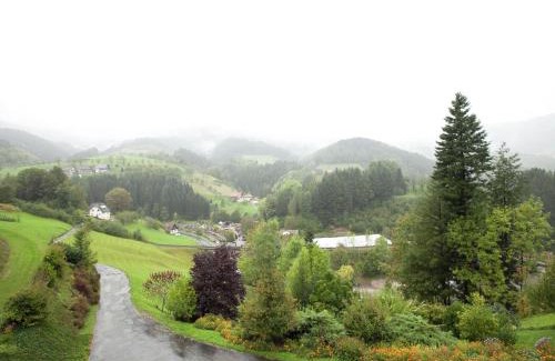 Bad Peterstal-Griesbach Apartment | Modern Apartment in Bad Peterstal-Griesbach with Vineyards