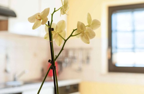 Merschbach Apartment | Modern Apartment in Merschbach Hunsruck