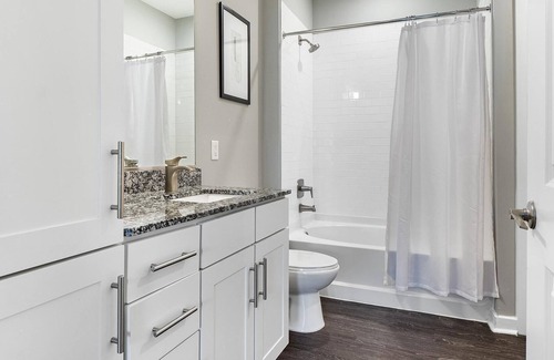 Chapel Hill Apartment | Modern Apartment in Prime Location (ID1286X424)