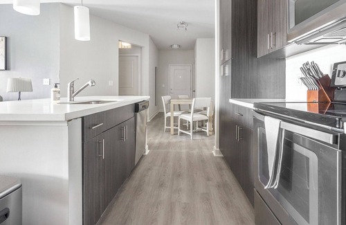 Wake Forest Apartment | Modern Apartment in Prime Location (ID1210X718)