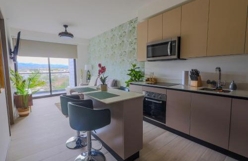 San Jose Apartment | Modern Apartment located in Trendy San Jose Condo