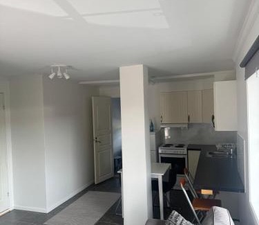 Tertnes Apartment | Modern apartment