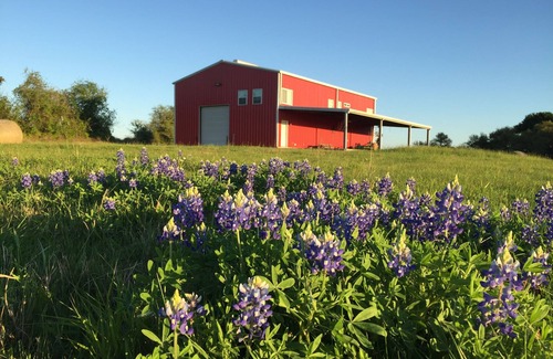 Burton House | Modern Barndominium on 20 quiet acres 10 miles from Round Top Antique Fair