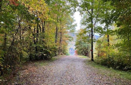 Topton House | Modern Cabin, Secluded, Views, Lake, Private Dock, WIFI