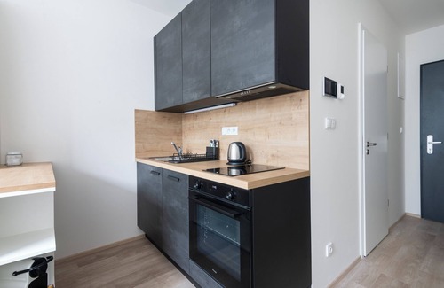 Smichov Apartment | Modern Central Studio 1Gbps WiFi SMART TV 𝗔/𝗖