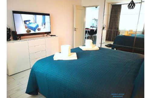 Campulung Moldovenesc Apartment | Modern Central Apartament