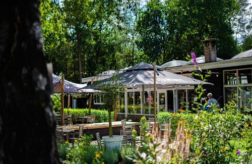 Bosgebied Hoenderloo House | Modern chalet with AC, located at a playground