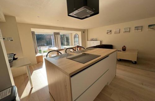 Ostend House | Modern Flat With Garden