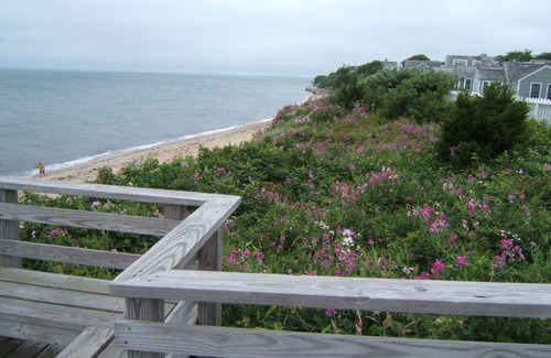 Mashpee House | Modern Home, 5-Star Reviews. Walk to Priv Beach, Shops, Dining, Mini-Golf, More!