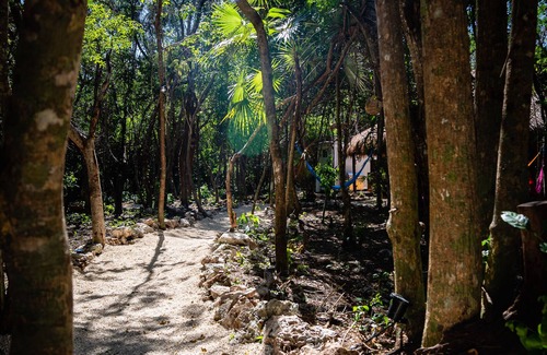 Akumal Cabin | Modern house in a jungle with private outside jacuzzi