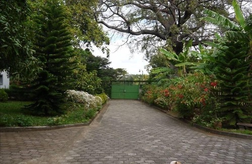 Managua Villa | Modern House in Managua Suburbs, Within a Lush Garden Setting.