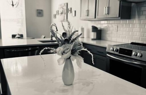 Charlotte House | Modern LoSo Retreat|Walk to Breweries & Light Rail