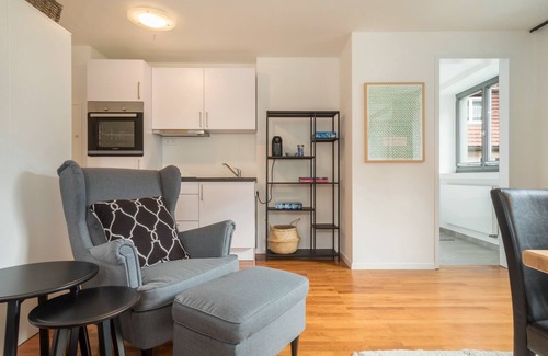 Wangen im Allgaeu Apartment | Modern One-Room Apartment No. 12 in the City Center with Wi-Fi
