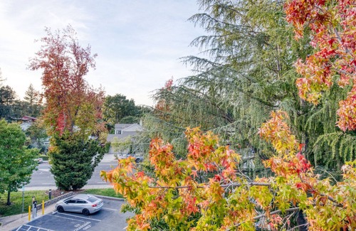 Palo Alto Apartment | Modern Palo Alto 1BR w/Gym & Pool, 10 mins to FB & Google, by Blueground