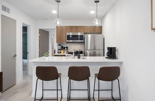 South Lamar Apartment | Modern Pristine Apartment 5 Minutes to Downtown ATX