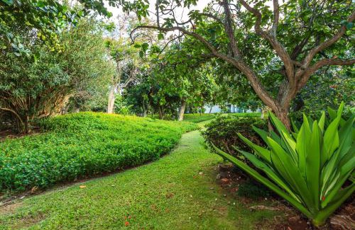 Kahuku Apartment | Modern, Romantic Vibes in the Tropics
