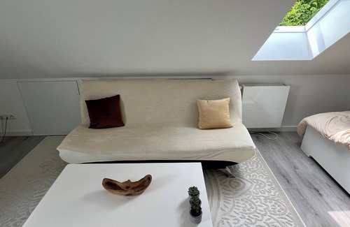 Biesdorf House | Modern Room in House w/Pool & Backyard. Easy & quick access to City Center
