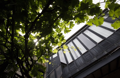 Leiro Cottage | MODERN RURAL HOUSE, in front of SPA and MONASTERY of San Clodio.