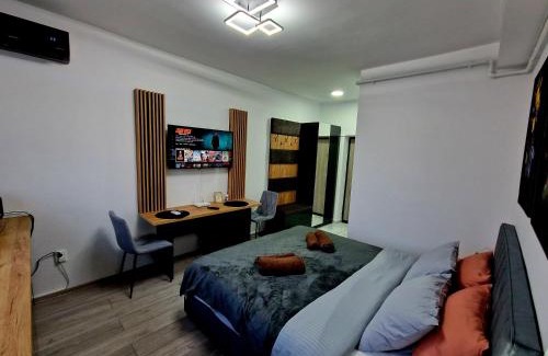 Onesti Apartment | Modern Studio 2