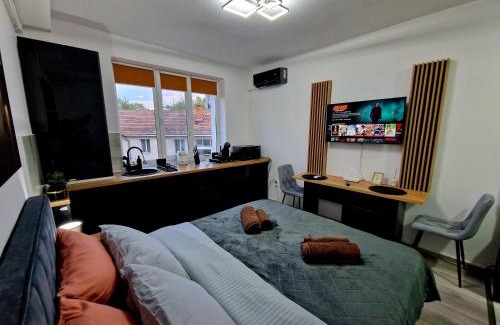 Onesti Apartment | Modern Studio 2