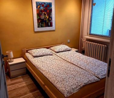 Czestochowa Apartment | Modern Studio 9