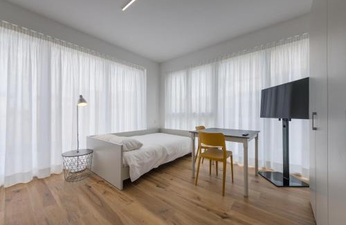 Mendrisio House | Modern Studios Mendrisio