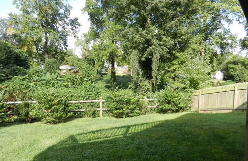 Winston - Salem House | Modern, Stylish near UNCSA and Downtown