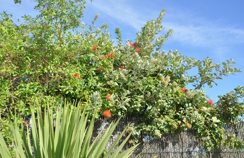 Aljezur Villa | Modern villa, quiet, private pool, close to the sea, in a nature reserve, 6 beds