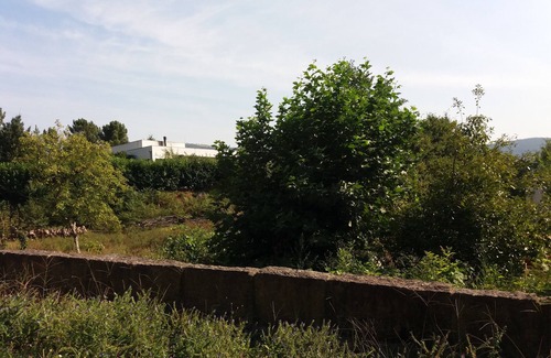 Mondim de Basto Villa | Modern villa, set in a green spot, ideal for families or groups.