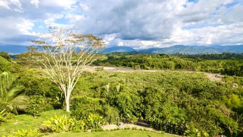 La Tebaida Villa | Modern Villa Surrounded by Nature with Pool and Stunning View
