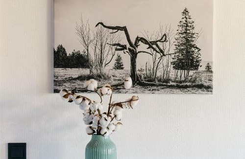 Simonswald Apartment | Moderne 2 Zi.-FeWo BlackForest Art Nähe Freiburg