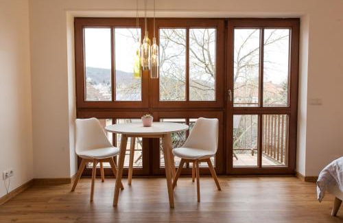 Neustadt an der Weinstrasse Apartment | Modernes Studio im Herzen von Neustadt: PfalzLiebe