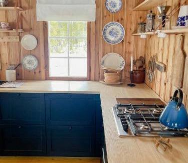 Oslo House | Moderne Og Tradisjonell Hytte På Krokskogen