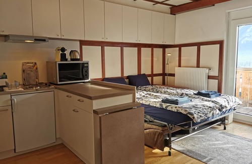 Reisach Apartment | Moderne Studio für 2 mit Bequemes Schlafsofa und Ensuite Badezimmer