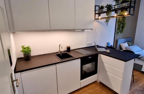 Karlsruhe City Centre Apartment | Modernes Apartment im Zentrum von Karlsruhe