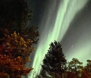 Saariselka Villa | Moderni puuhuvila erämaan reunalla Kiilopäällä