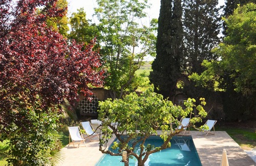 Les Cabanyes Villa | Modernistic huge holiday home with outstanding garden and great location