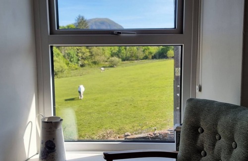 Ffestiniog House | MOELWYN VIEW COTTAGE, pet friendly, with open fire in Llan Ffestiniog