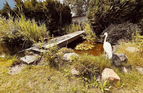 Wieck auf dem Darss Apartment | Moin Moin - Welcome to the apartment "Skipper's Kabine"