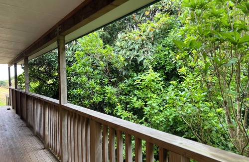 Tuateawa House | Mokoroa Retreat - peaceful location, pet friendly!