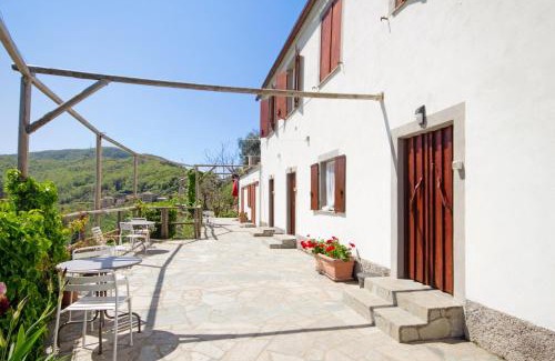 Ruta Apartment | Monolocale Fattorialmare Gialla