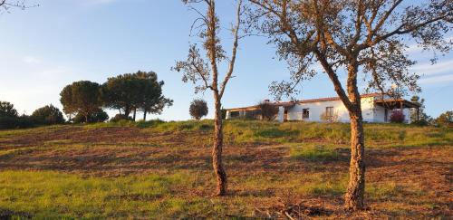 Saiceira House | Monte da Xara