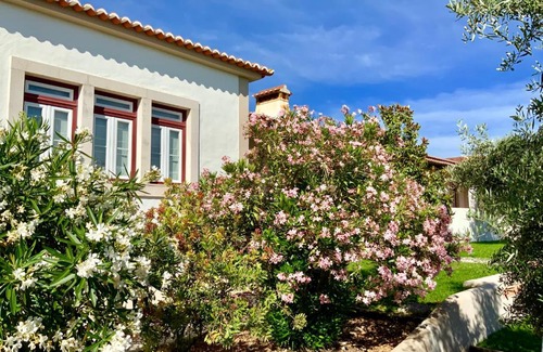 Pedrogao House | Monte das Oliveiras - Country House