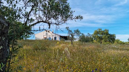 Avis Villa | Monte do Balharico by Portus Alacer