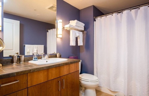 Downtown Boise Condo | Monthly Furnished | BSU, Capitol, City Center